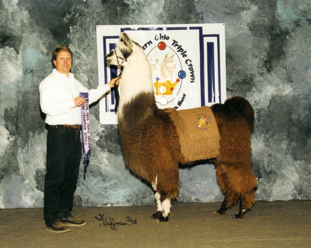 Laredo best in show