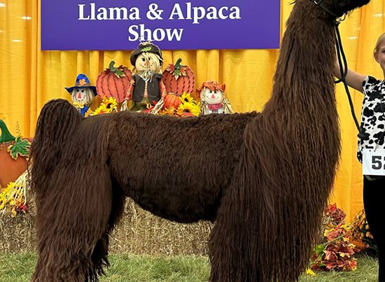 Hard Rock’s On Track