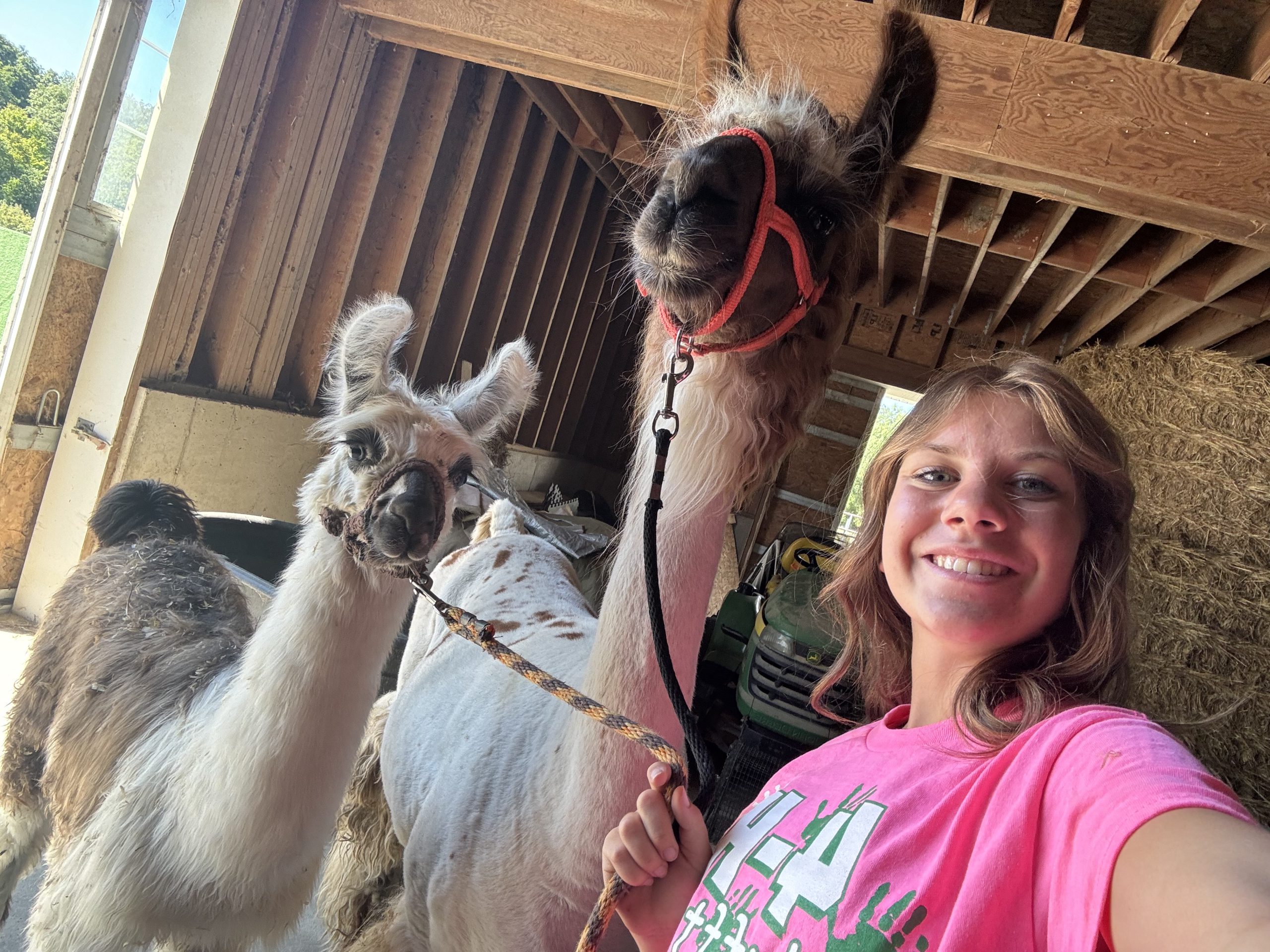 goddessselfie Goddess